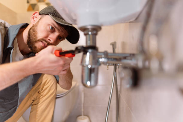 Best Residential Plumbing Services  in Hopkins, MN